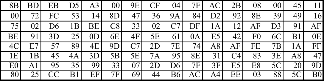 Example 1 IP Frame